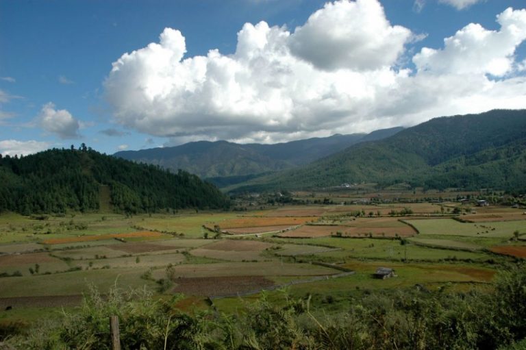 Ecosystem | Bhutan Life Exposure